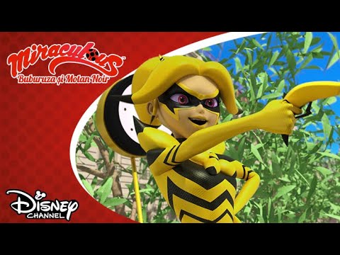 🍌 Atac cu banane! | Miraculos: Buburuza și Motan Noir | Disney Channel România
