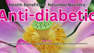 Health Benefits of Nelumbo Nucifera