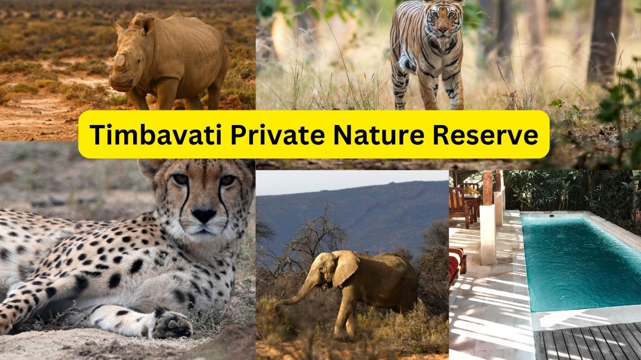 Timbavati Private Nature Reserve