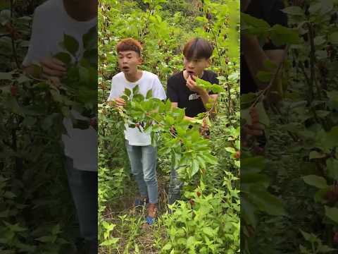 cowok ini kalau laper ada aja tingkahnya 😂 #shortsviral