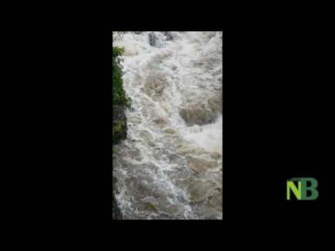 Newsbiella: Cervo in piena (parte 1)