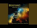 Variations On a Theme By Haydn, Op. 56a: VIII. Presto non troppo