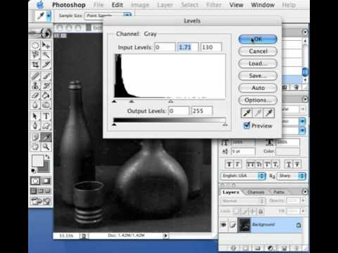 FreeTutorials