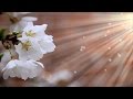 "My Heart Is Yours" Lyrics - Kristian Stanfill ...