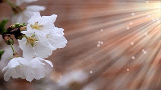 &quot;My Heart Is Yours&quot; Lyrics - Kristian Stanfill - From the CD Passion: Take It All