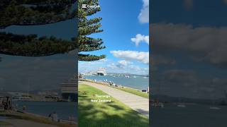 Tauranga New Zealand, #cruise #travelvlog #touristdestination #tauranga #nz #carnivalsplendor