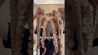 [問卦] 生醃藝術家 吃熟食會讓人失望嗎