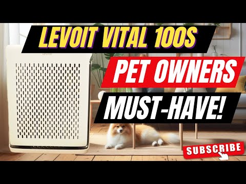 Levoit Vital 100S Review: Best Budget Air Purifer