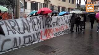 cane-ucciso-a-pastena-corteo-degli-animalisti