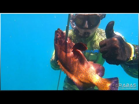 EP619-Part 2 - New Spot for Spearfishing | Occ. Mindoro