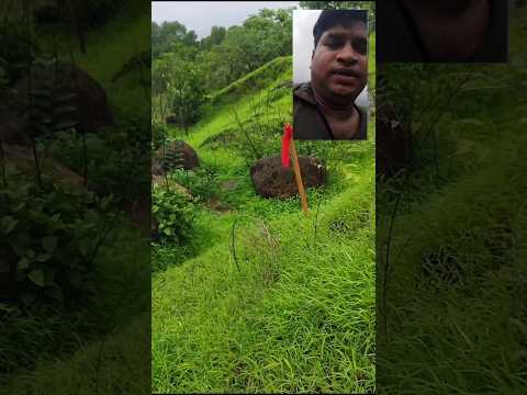#landsurveyor