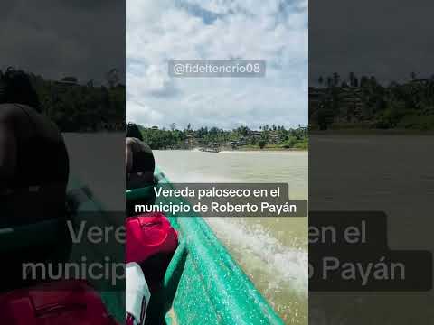 Vereda paloseco. En ROBERTO PAYÁN (Nariño) #fypシ゚viral #mundo #campo #humor #suscribete