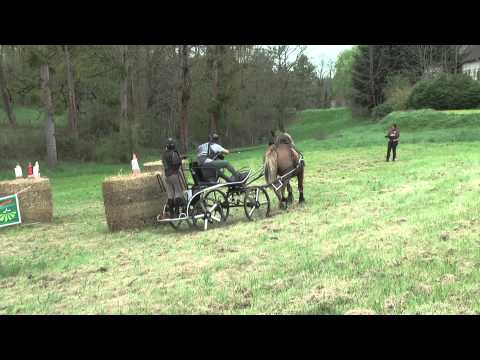Concours d'attelage de Lapalisse - Marathon 19-04-2015