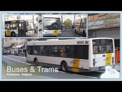 Bussen & Trams in Antwerpen | 07-08-2017