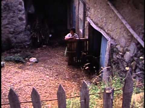 1981 De weg naar het zuiden - Johan van der Keuken, music Willem Breuker