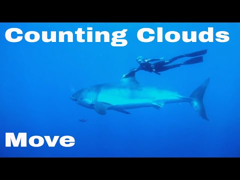 Counting Clouds - Move