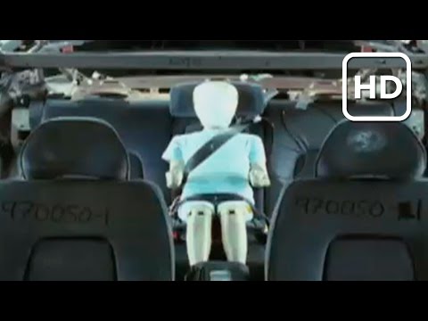 El cinturón de seguridad