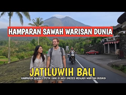 Pantesan Betah! Suasana Syahdu Jatiluwih Bali di Bulan Januari