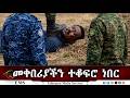 EMS መቀበሪያችን ተቆፍሮ ነበር የኤርሚያስ መኩሪያ የግፍ ሰቆቃ