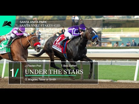 2022 Santa Ynez Stakes Replay And Recap