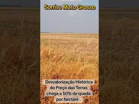 Mato Grosso