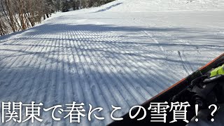 【パルコール嬬恋】4月なるのにコンディション良すぎだろ…【フリースキー】