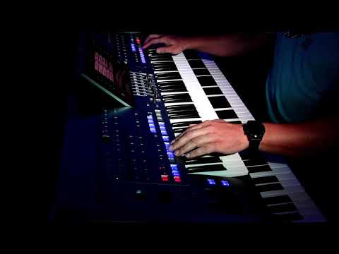 Monja Instrumental Cover by Sven Rosowski