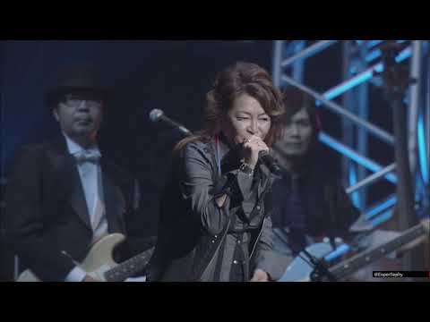 Un nuevo dia! Persona Music Fes 2013