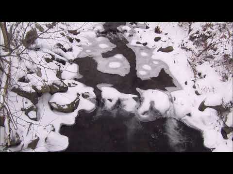 Visiting Wallace and Jackson Brooks, Hedden Park, New Jersey, December 19, 2020