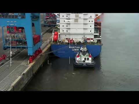 Codev Dynamics Aquila 1