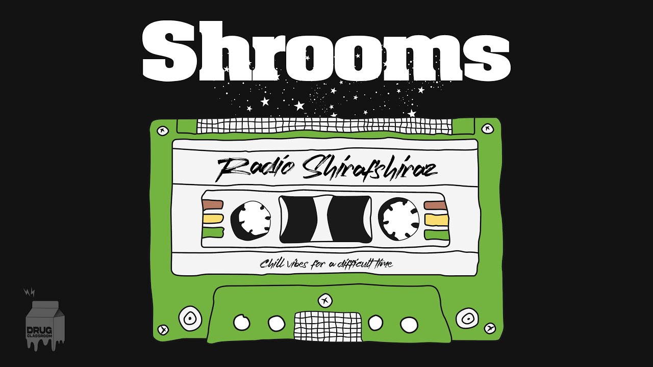 Lofi Shrooms - In a new light