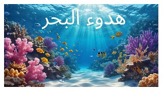 عالم البحر الهادئ – ساعتان من أصوات البحر والأسماك للاسترخاء والعناية بالذاكرة