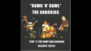 The Androids -  'Rawk 'n' Rawl' (Belfast punk)