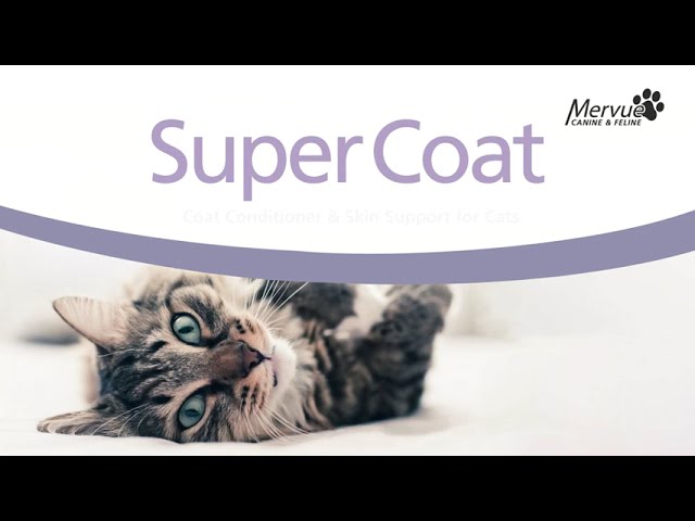 ميرفيو - معجون سوبر كوت للعناية بجلد وفراء القطط و...