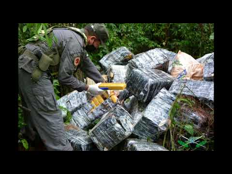 Colonia Delicia : Procedimiento de Gendarmería Nacional , Operación en conjunto.