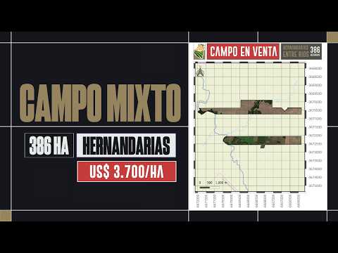 Campo en VENTA en Entre Ríos | 386 Ha Mixtas en Hernandarias (Agrícola-Ganadero)
