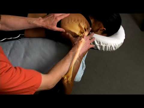 Triceps Palpation