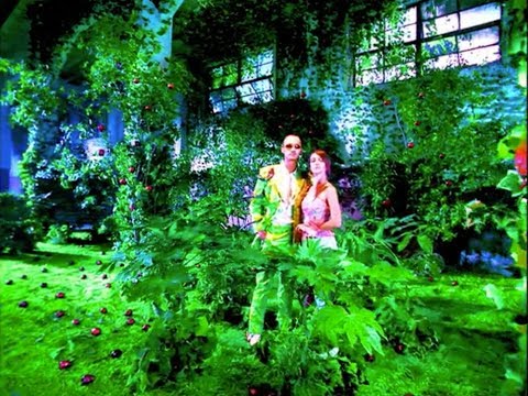 ALCATEL phone AD  Infinite Personality