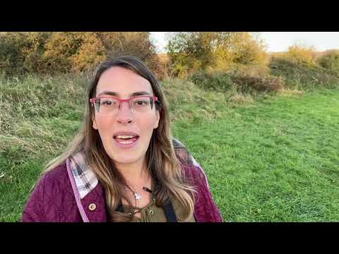 NS5217 Bird Point Count Video