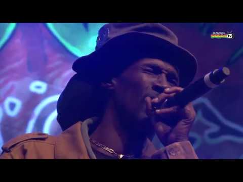 MIDNITE live @ Main Stage 2014