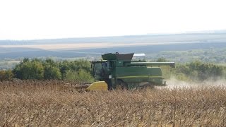 Уборка подсолнечника 2015! John Deere T 660 + МТЗ 80 + 2ПТС4