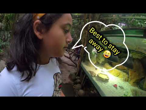 LAVINA & JODY at The Butterflyhouse (Fjärilshuset) Stockholm, Sweden 2020. Follow on a tour with us