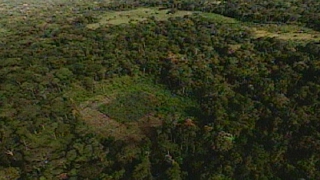 Miniatura do vídeo