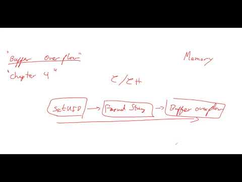ITS 450 - Buffer overflow vulnerability