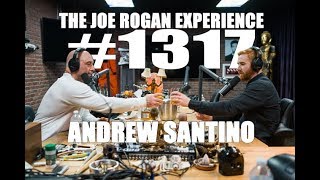 JRE 1317 - Andrew Santino