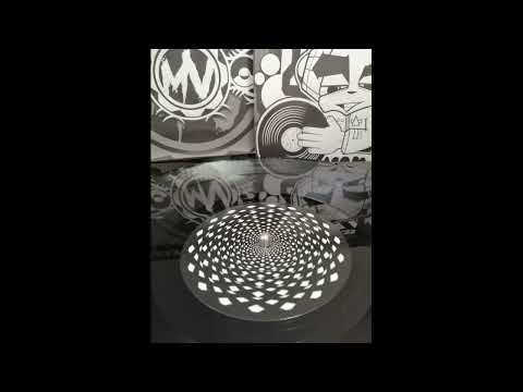 Vicelard HS 01 Rgot B1 Plenitude Active