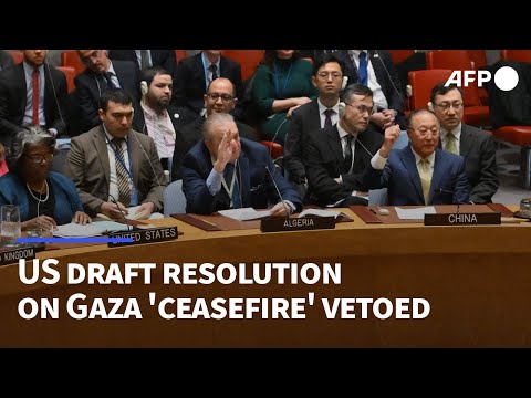 Russia, China veto US draft Security Council resolution on Gaza 'ceasefire' | AFP