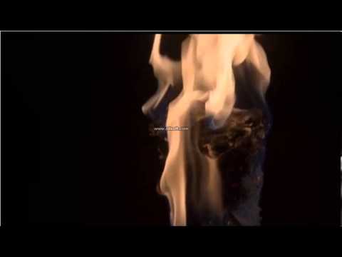 Vampire Diaries 4x22 The Walking Dead - Alaric returns "Looking after their idiot best friends"