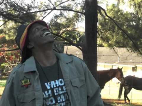 BORN FREE - Ras Lil Dread