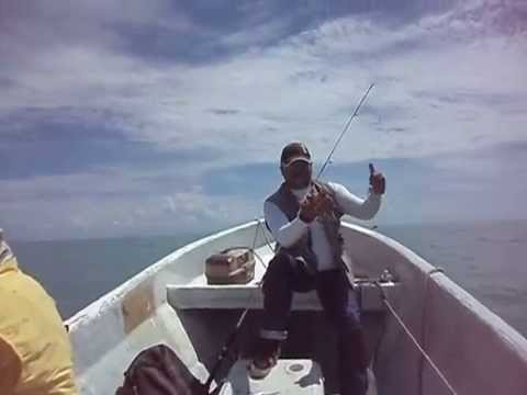 Liberando un pequeño mero